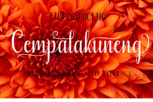 Cempalakuneng: A Modern Calligraphy Font That Stands Out