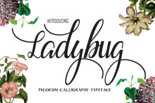 Ladybug: A Playful, Romantic Script Font